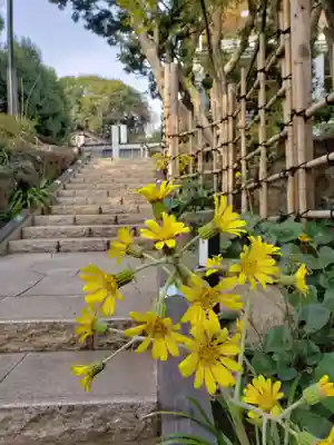 東郷神社(東京都)