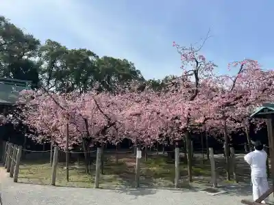 宮地嶽神社の{uncategorized: "未分類", other: "その他", undefined: "問題あり", building: "その他建物", grave: "お墓", sacred_gate: "鳥居", guardian: "狛犬", statue: "像", buddha: "仏像", history: "歴史", nature: "自然", garden: "庭園", animal: "動物", pagoda: "塔", temizu: "手水舎", mountain_gate: "山門・神門", sanctuary: "本殿・本堂", subordinate: "末社・摂社", art: "芸術", scenery: "景色", jizo: "地蔵", ema: "絵馬", goshuin: "御朱印", omikuji: "おみくじ", items: "授与品その他", amulet: "お守り", goshuincho: "御朱印帳", eats: "食事", festival: "お祭り", votive_dance: "神楽", shichigosan: "七五三参", wedding: "結婚式", experience: "体験その他", initially: "初詣", around: "周辺", anti_infection: "感染症対策"}