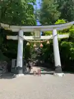宝登山神社(埼玉県)