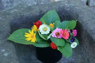 熊野福藏神社の手水舎