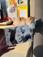 駒込妙義神社(東京都)