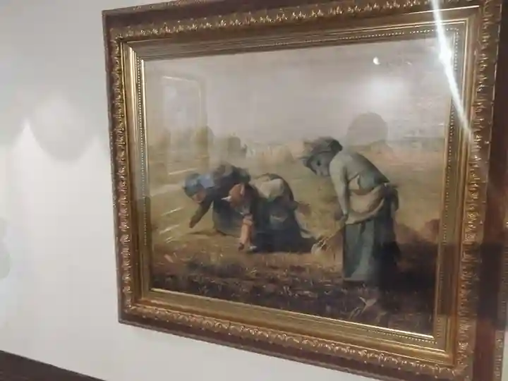 猫猫寺のその他建物