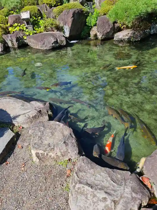 甲斐善光寺の庭園