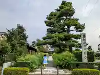 圓光禅寺(円光寺)の自然