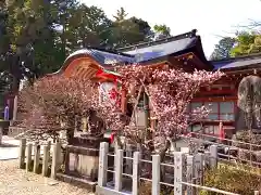 長岡天満宮(京都府)