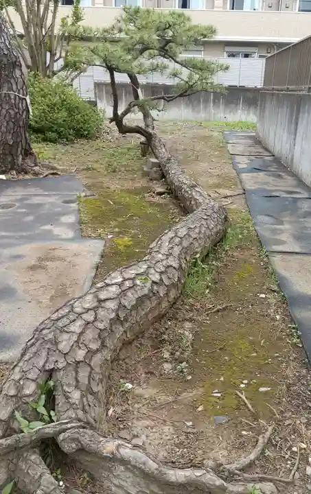 西小松川天祖神社(東京都)