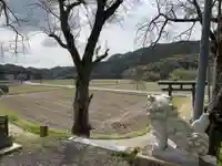 大宮賣神社の狛犬