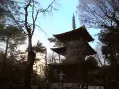 豪徳寺の建物その他