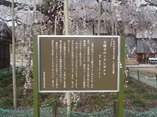 金剛寺(愛知県)