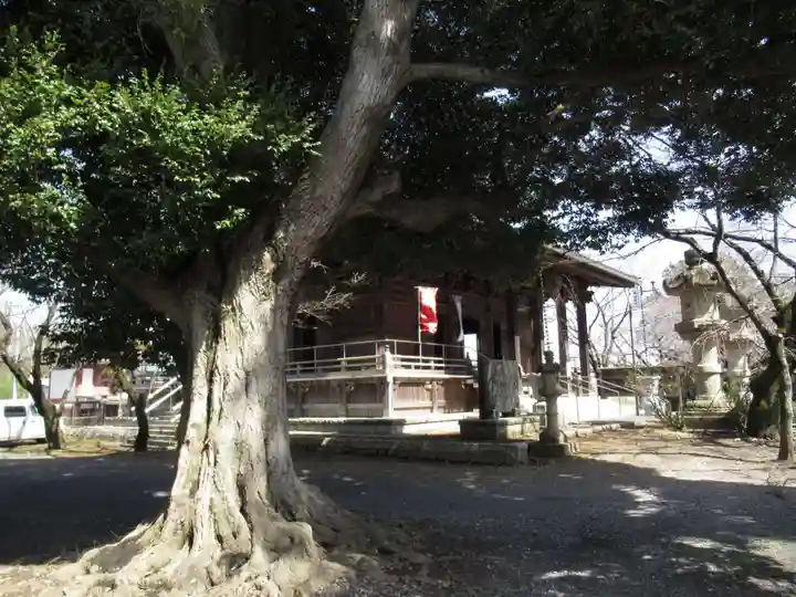 大栄寺(茨城県)