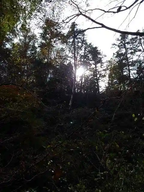 高尾山薬王院の周辺