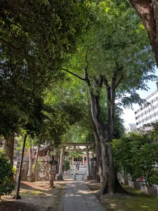荻窪白山神社(東京都)