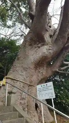 常陸第三宮 吉田神社(茨城県)