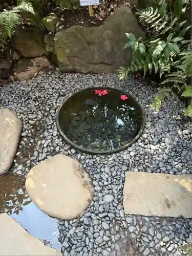 明治神宮(東京都)