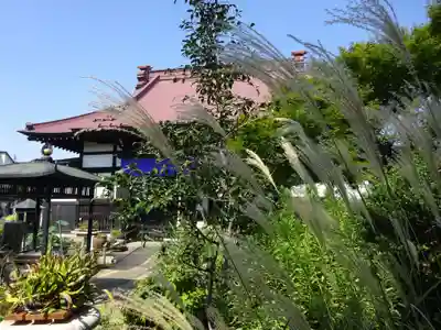 常泉寺の本殿・本堂