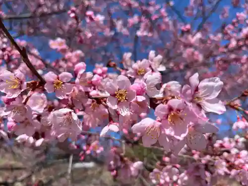 眞田神社の自然