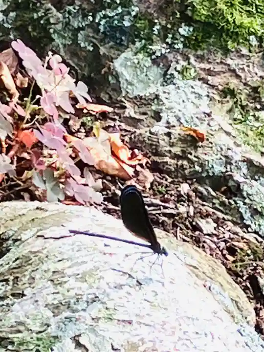 専修寺(栃木県)