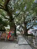 山王神社(長崎県)