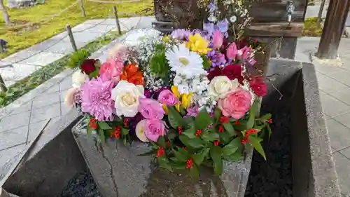 勝林寺(京都府)