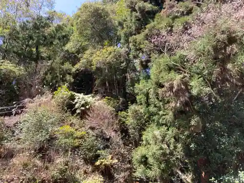 仙龍寺の景色