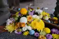 滑川神社 - 仕事と子どもの守り神の手水舎