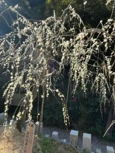 大縣神社の{uncategorized: "未分類", other: "その他", undefined: "問題あり", building: "その他建物", grave: "お墓", sacred_gate: "鳥居", guardian: "狛犬", statue: "像", buddha: "仏像", history: "歴史", nature: "自然", garden: "庭園", animal: "動物", pagoda: "塔", temizu: "手水舎", mountain_gate: "山門・神門", sanctuary: "本殿・本堂", subordinate: "末社・摂社", art: "芸術", scenery: "景色", jizo: "地蔵", ema: "絵馬", goshuin: "御朱印", omikuji: "おみくじ", items: "授与品その他", amulet: "お守り", goshuincho: "御朱印帳", eats: "食事", festival: "お祭り", votive_dance: "神楽", shichigosan: "七五三参", wedding: "結婚式", experience: "体験その他", initially: "初詣", around: "周辺", anti_infection: "感染症対策"}