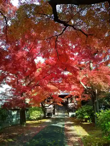 正樂寺(宮城県)