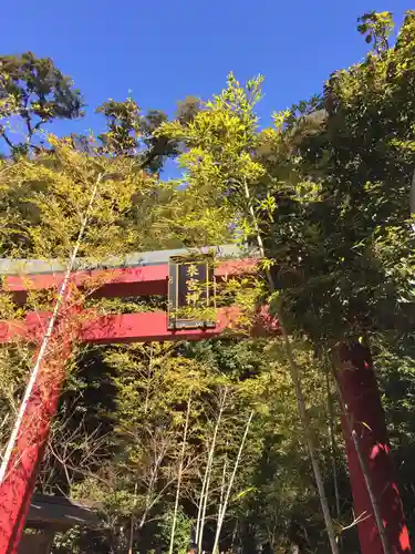 來宮神社の鳥居