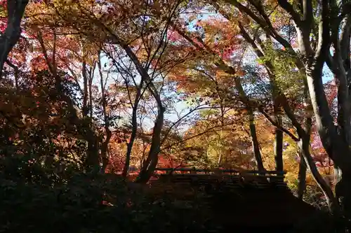 祇王寺(京都府)