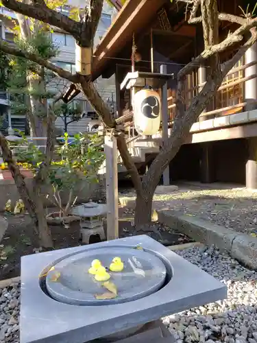 高円寺氷川神社の庭園