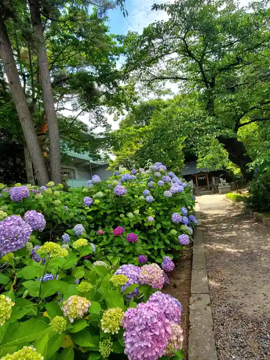 開成山大神宮(福島県)