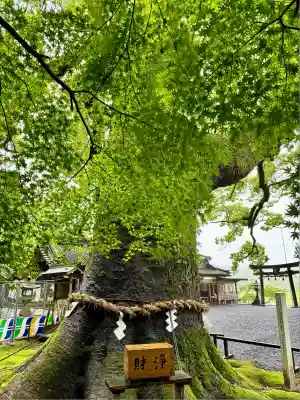 事任八幡宮(静岡県)