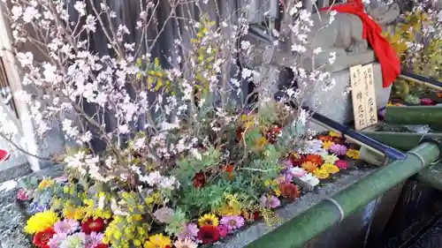 北野天満宮の手水舎