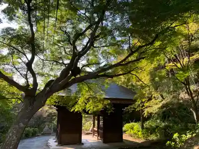 普門寺(切り絵御朱印発祥の寺)(愛知県)