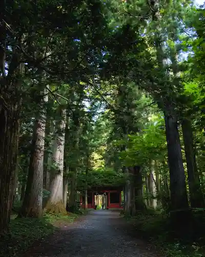 戸隠神社奥社(長野県)
