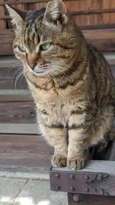 本満寺(本願満足寺)(京都府)