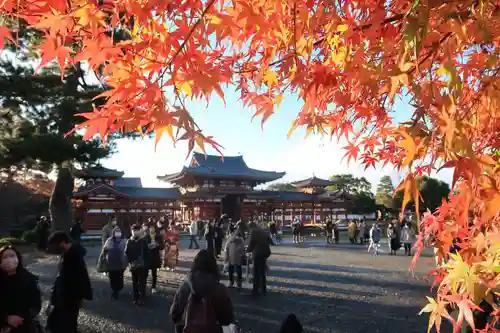 平等院のその他建物