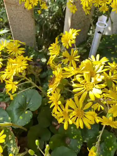 叶神社（東叶神社）の自然