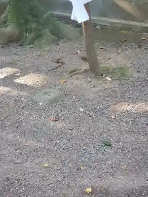 鹿島神宮のその他建物