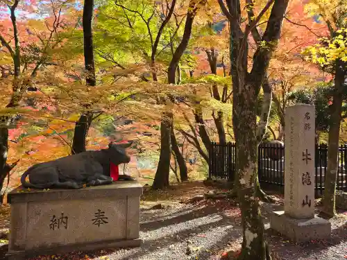 大威徳寺(大阪府)