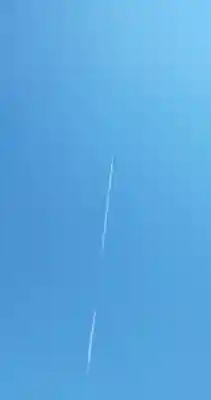 醫王寺(黄金身代り不動尊) (群馬県)