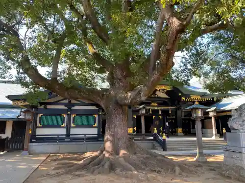 穴八幡宮の自然