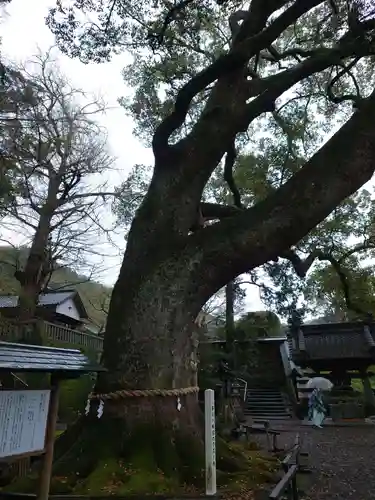 事任八幡宮の庭園