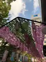 露天神社(お初天神)(大阪府)