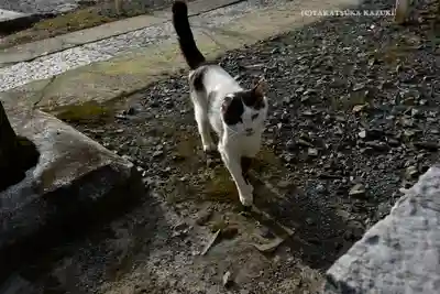 賀茂別雷神社(栃木県)
