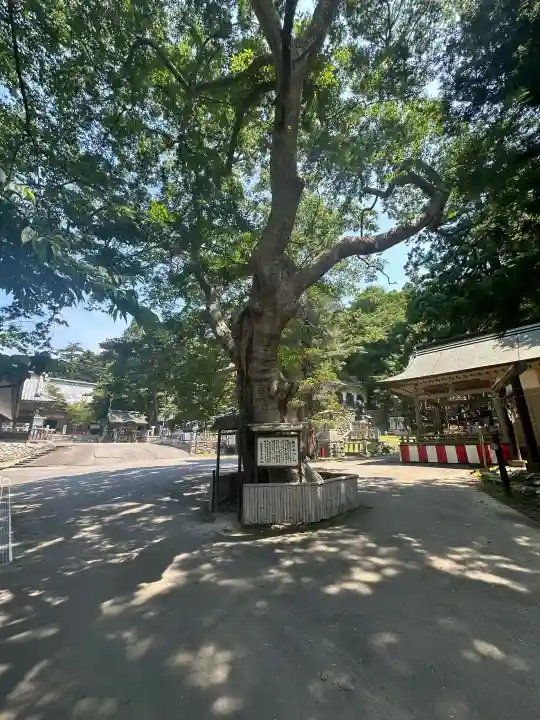 金華山黄金山神社(宮城県)