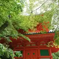 金剛宝寺(紀三井寺)(和歌山県)