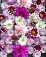 根岸八幡神社の手水舎