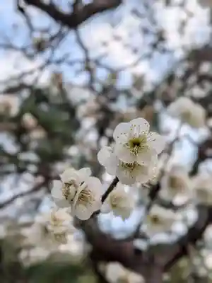 西照寺(東京都)