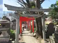千種稲荷神社(東京都)